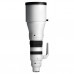 Sigma 300-600mm f/4 DG OS Sports - L-Mount